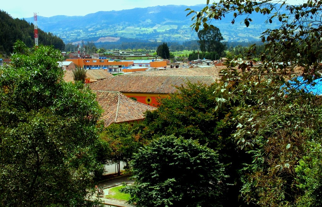 15720281205 e48d89724e b